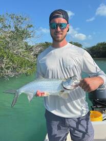 Juvenile Tarpon