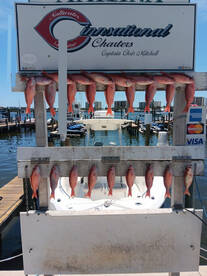 Destin Report Photo 1