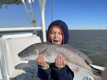 Isle Of Palms Report Photo 2