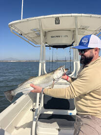 San Diego Bay Fish Report