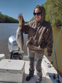 Striper season is here! 