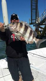 Gulf Shores Report Photo 1