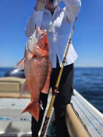 St. Simons Island Report Photo 2