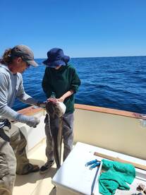 Fernandina Beach Report Photo 1