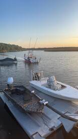 THE MAHI ARE HERE!!!