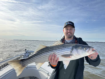 Striped bass fishing is on!