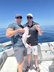 Englewood Report Photo 2