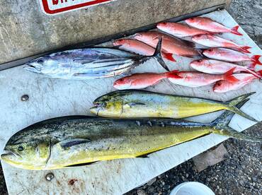Port Orange Report Photo 1