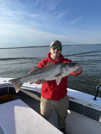Great Live Bait Striper Fishing