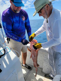 10 Hr offshore Trip 