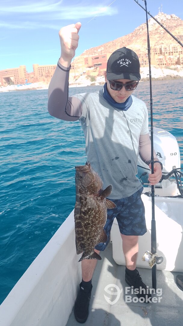 San Jose del Cabo Report Photo 0