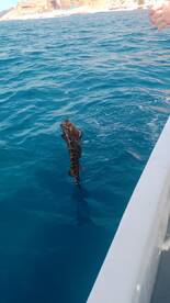 San Jose del Cabo Report Photo 2