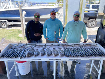 Killer spring Fishing! 