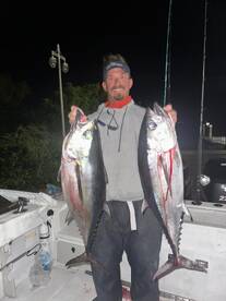 Blackfin tuna are crazy hungry 