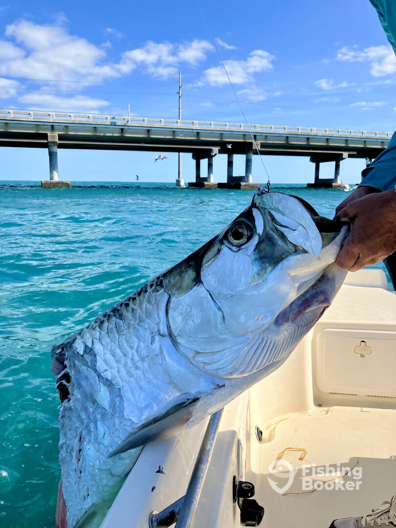 Big Pine Key Report Photo 0