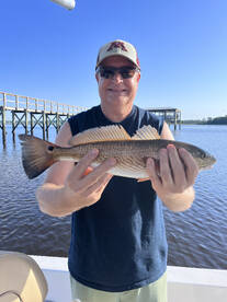 Charleston Report Photo 1