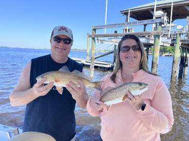 Quality Fish are here !!!!