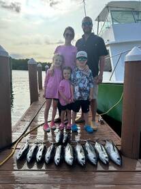 Dania Beach Report Photo 1