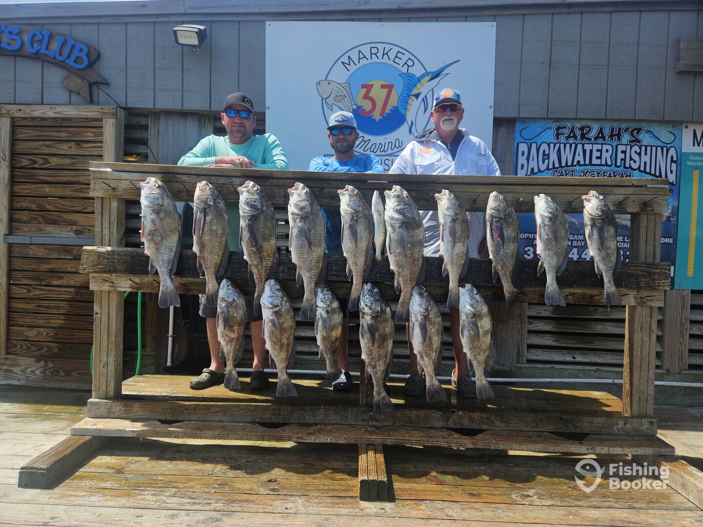 Corpus Christi Report Photo 0