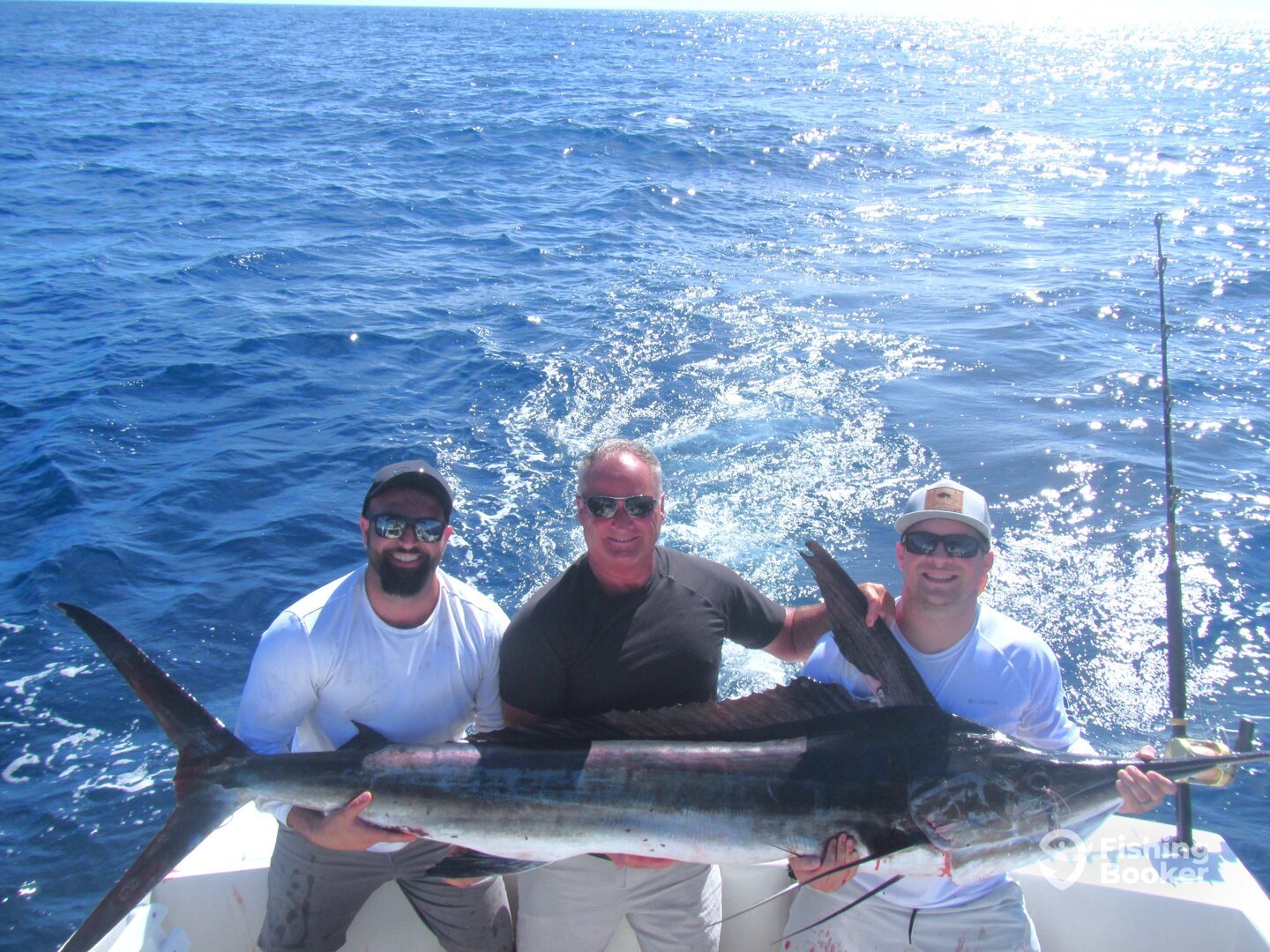 Cabo San Lucas Report Photo 0