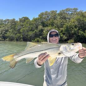 Belleair Bluffs Report Photo 2