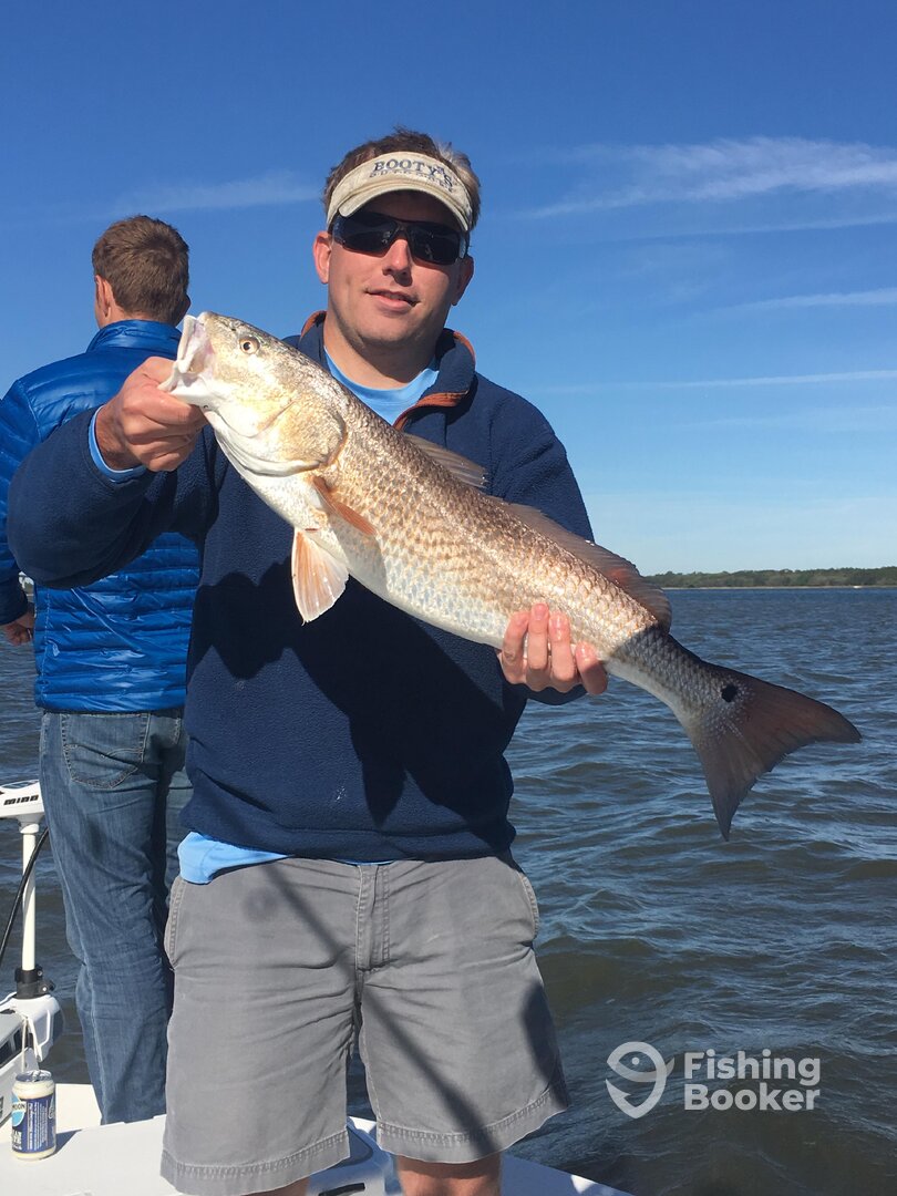 Mount Pleasant Report Photo 0