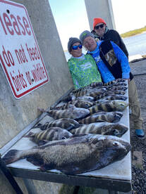 Full Cleaning Table!