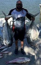 Offshore bite is on fire book now 