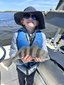 Jekyll Island Report Photo 2