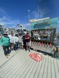 Great weather with plenty of fish! 