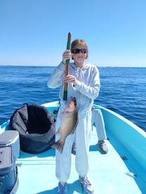 Destin Report Photo 1