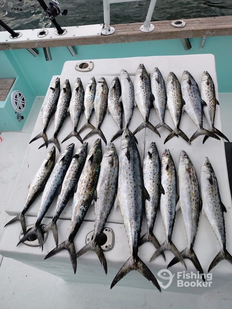 Destin Report Photo 0
