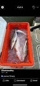 Bolivar Peninsula Report Photo 2