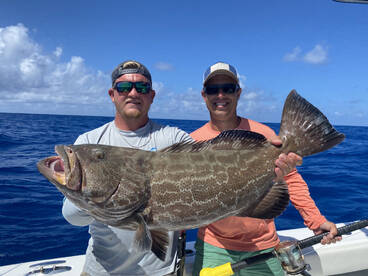 Grouper Opening May 1