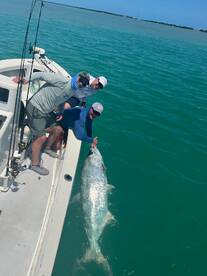 Lunker Tarpon