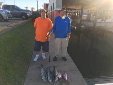 The kingfish have arived!!