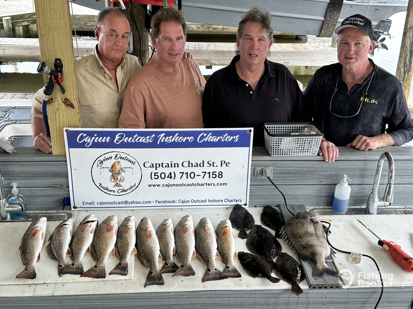 St. Bernard Report Photo 0