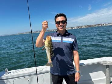 Calico Bass