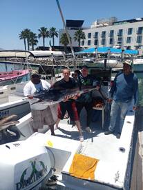 San Jose del Cabo Report Photo 2