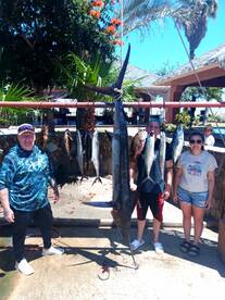San Jose del Cabo Report Photo 1
