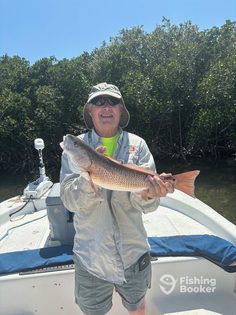 Crystal River Report Photo 0