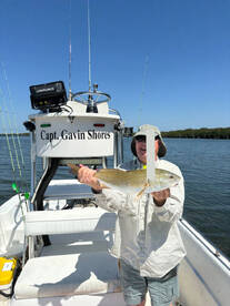 Crystal River Report Photo 1