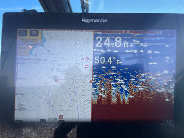 Waukegan Report Photo 1