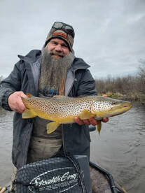 Trophy brown trout fishing
