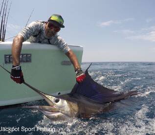 Quepos Report Photo 1