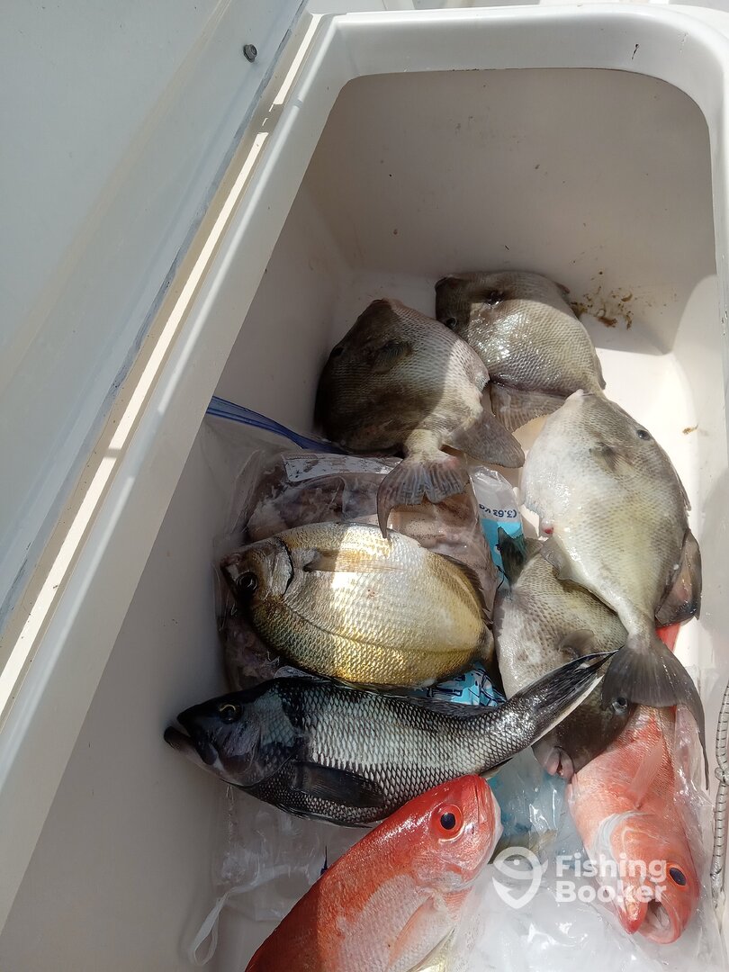 St. Marys Report Photo 0