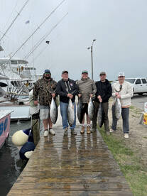 Nags Head Report Photo 2