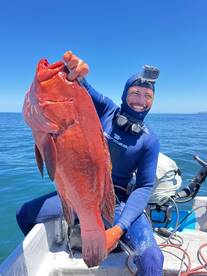 Cod fish 7 kg while Spearfishing