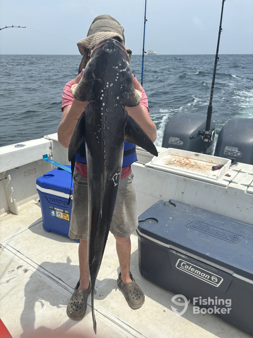 Oyster Creek Report Photo 0