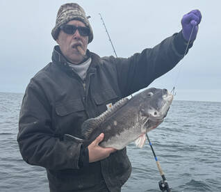 Trophy Tog / Black Fish